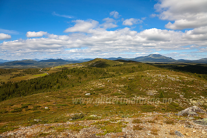 Fra Snauehøgde mot Synhaugen (1085 moh).