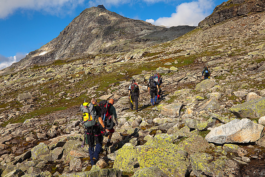 Brevandrere på vei mot Falkbreen (Snøggeken). Falketind kan såvidt skimtes i bakgrunnen.