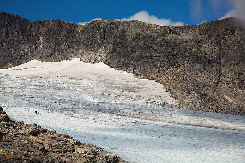 Falkbreen med fjellveggen hvor den kjente pionerruta går opp til høyre i bildet.