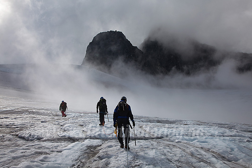 Brevandring på Falkbreen med Falkungen og Falketind (delvis innhyllet i tåke) i bakgrunnen.