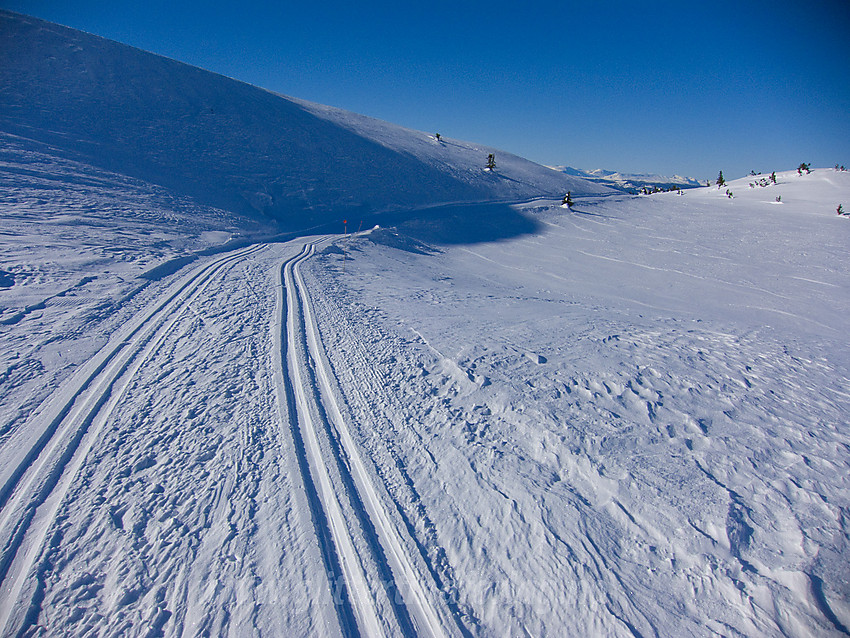 Ved Fjelltjernet mellom Freningfjellet og Fjellenden på Aurdalsåsen.