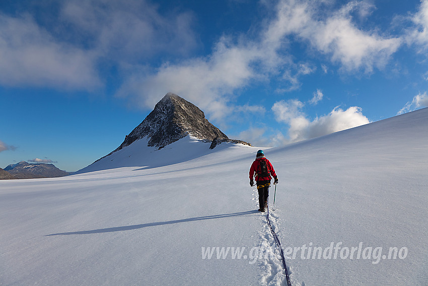 Brevandring på Mjølkedalsbreen med Langeskavltinden (2014 moh) i bakgrunnen.