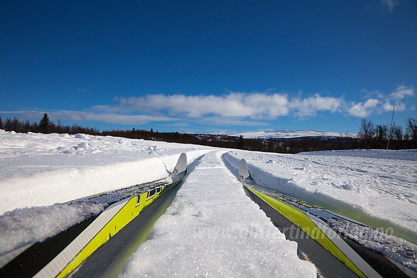 Ski i skispor ved Lenningen i Etnedal.