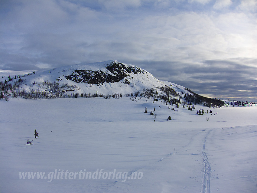 I løypenettet fra Hellebekkseteren en vintermorgen mot Rabalsfjellet (1155 moh).