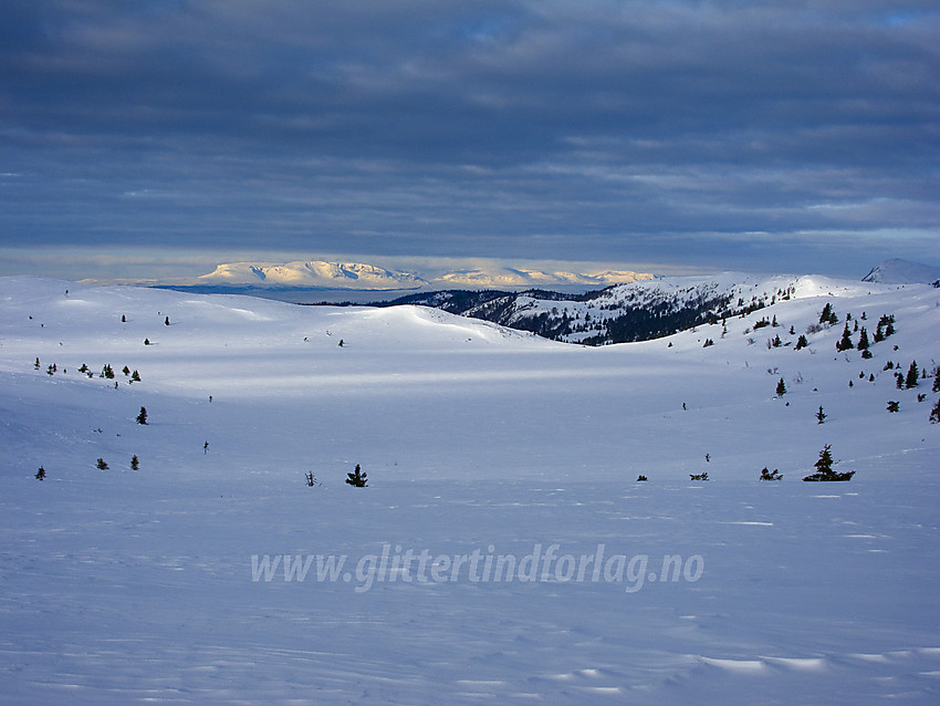 Utsikt fra skiløypa ved Rauddalsfjellet mot Hallingskarvet. Skiløypa er en del av rutenettet fra Hellebekkseter i Sør-Aurdal.