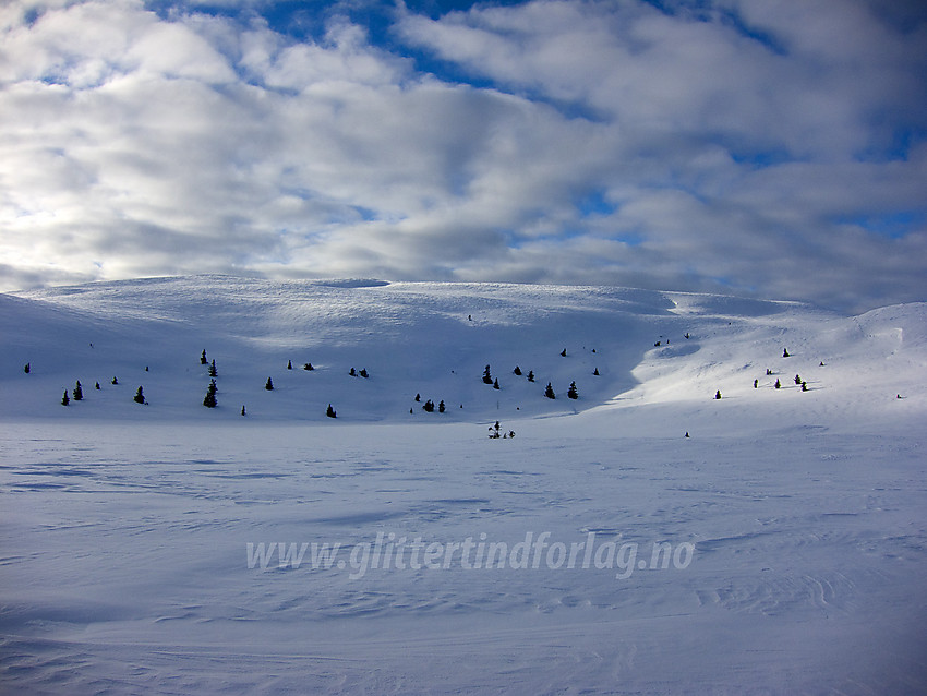 Fra løypa forbi Rauddalsfjellet med utsikt i retning toppen (1205 moh). Skiløypa er en del av løypenettet fra Hellebekkseter i Sør-Aurdal.