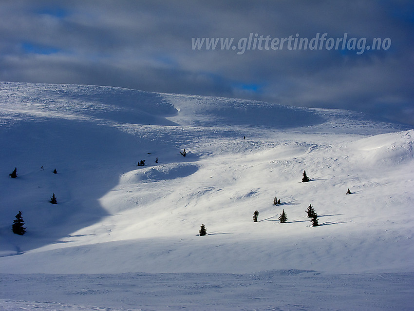 Fra løypa forbi Rauddalsfjellet med utsikt i retning toppen (1205 moh). Skiløypa er en del av løypenettet fra Hellebekkseter i Sør-Aurdal.