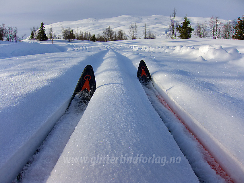 Ski i sporet ved Midtre Syndin i Vestre Slidre.