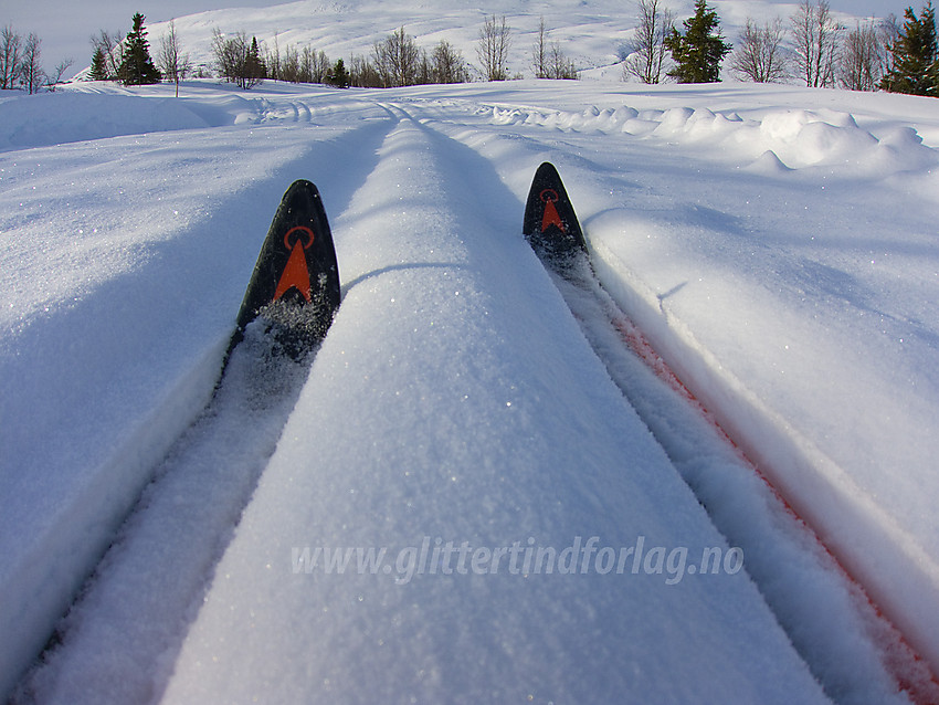 Ski i sporet ved Midtre Syndin i Vestre Slidre.