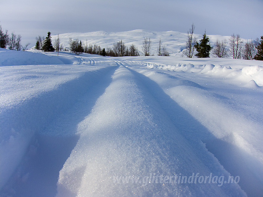 Skispor ved Midtre Syndin i Vestre Slidre.