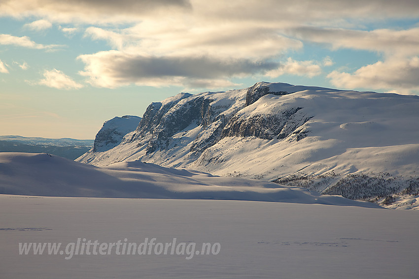 Fra løypenettet på Filefjell mot Skjøld og Bergsfjellet.