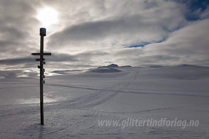 Ved Tenlefjorden med Vardhovdtinden (1456 moh) i bakgrunnen.