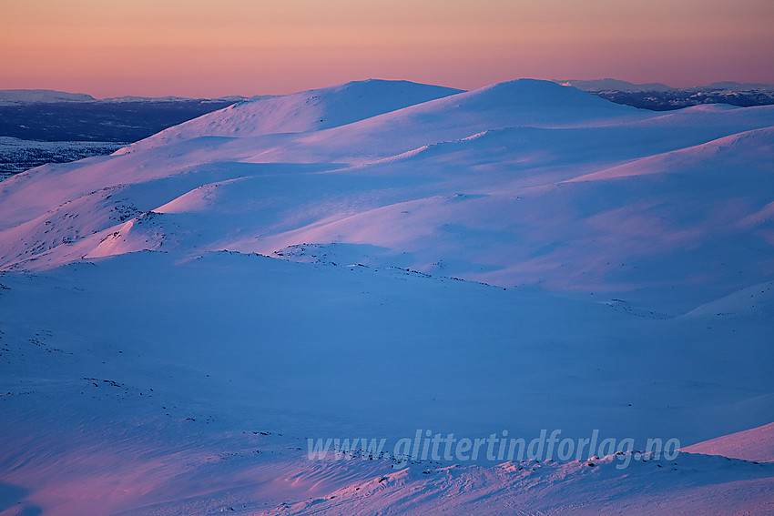 Vintermorgen fra Veslebotnskarvet (Trøymsfjellet) mot Skarvanfjellet og Skogshorn.