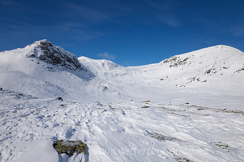 På Hensfjellet med Mjellknapp (1678 moh) til høyre.