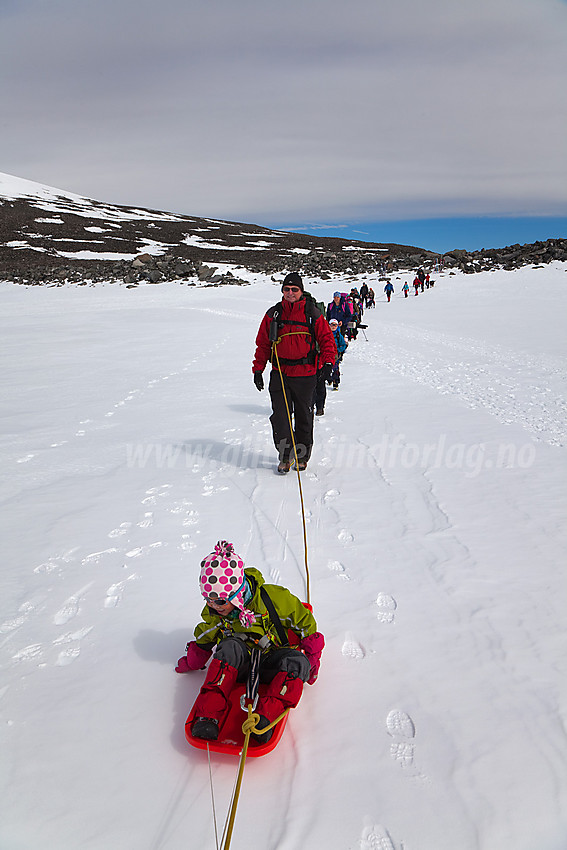 Taulag på vei over Styggebrean på tur til Galdhøpiggen.