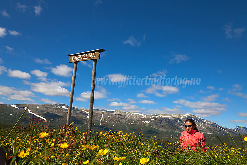 Ved Grønsennstølane med Storlifjellet i bakgrunnen.