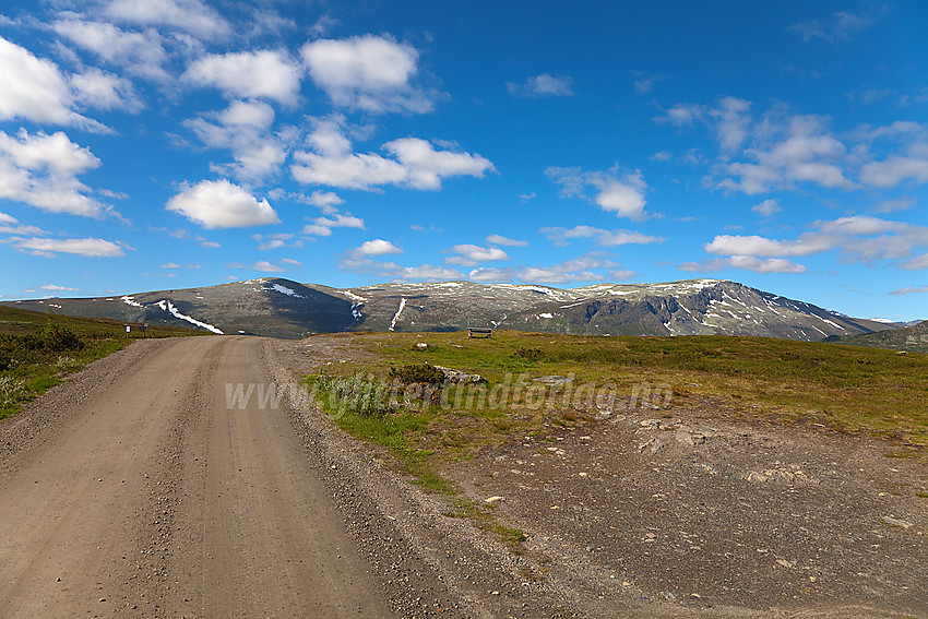 På toppen av veien like øst for Grønsennstølane, der stien mot Grønsennknipa tar til. I bakgrunnen ses Storlifjellet.