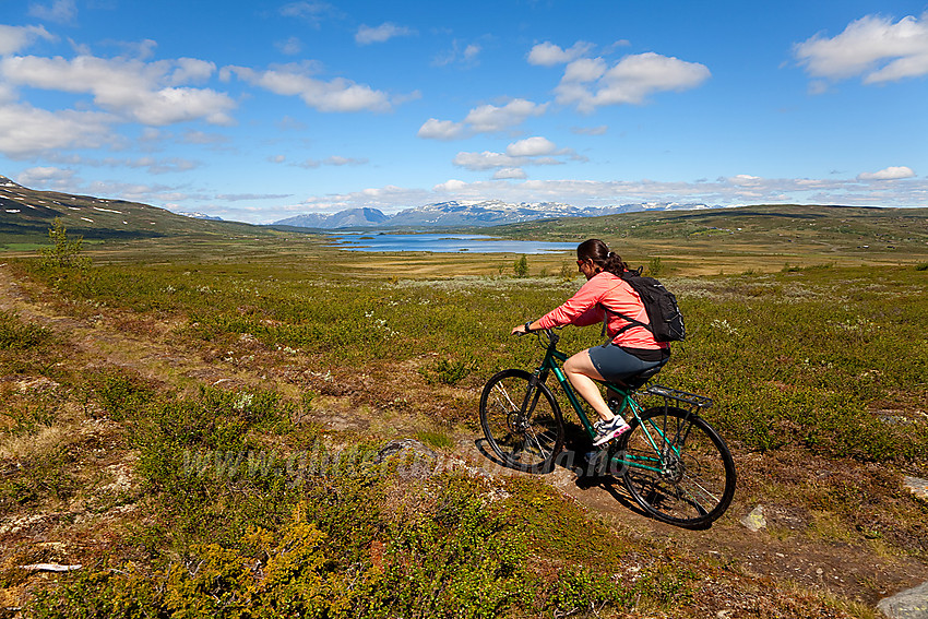 På sykkelsti fra Grønsenn mot Syndin. I bakgrunnen ses Midtre Syndin.