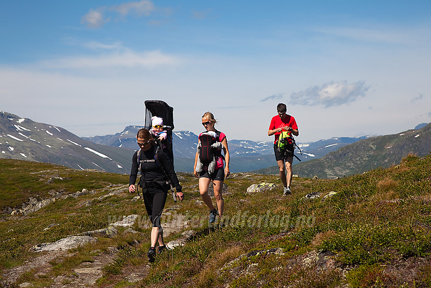 Fjellvandrere på vei mot Grønsennknipa.