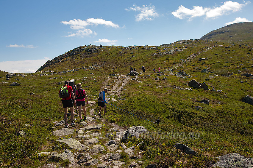 Fjellvandrere på vei mot Grønsennknipa.