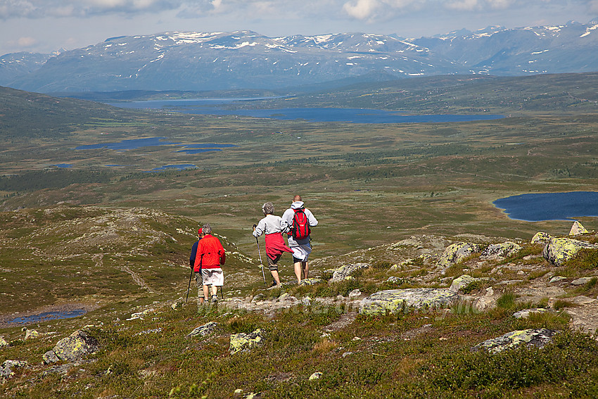 Fjellvandrere på vei ned fra Grønsennknipa. I bakgrunnen ses bl.a. Midtre og Nørdre Syndin og Vennifjellet.