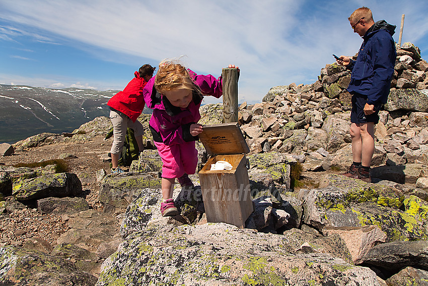 Ved postkassa med loggbok på toppen av Grønsennknipa (1368 moh).