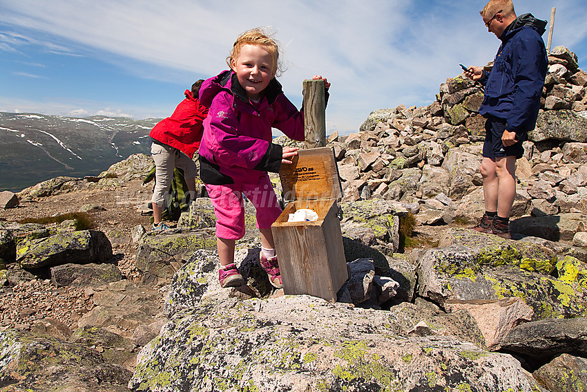 Ved postkassa med loggbok på toppen av Grønsennknipa (1368 moh).