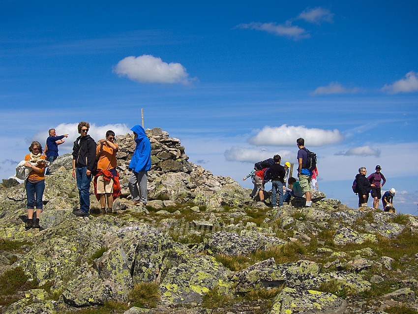 Folksomt på toppen av Grønsennknipa (1368 moh).