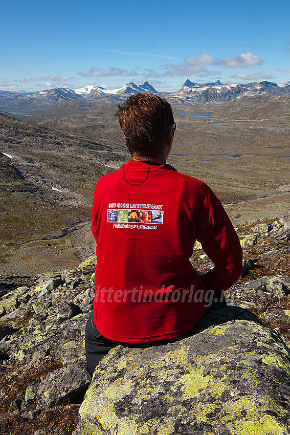 Flott utsikt oppi fjellsiden mot Slettmarkkampen. Bl.a. Hjelledalstinden, Falketind og Stølsnostinden i det fjerne.