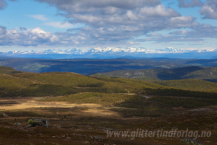 På vei fra Blomstølen mot Bjødalskampen med utsikt til Jotunheimen.