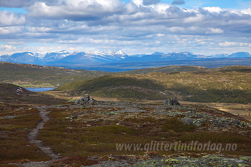 På Bjødalsfjellet med utsikt i retning Golsfjellet.