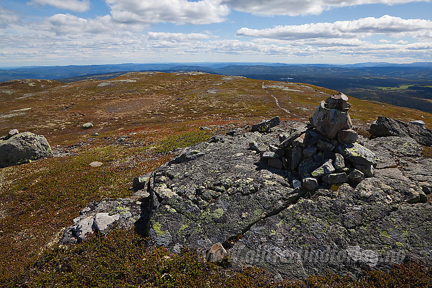 På Bjødalsfjellet i Sør-Aurdal med utsikt sørøstover.