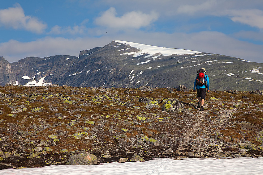 På vei fra Snøheim innover mot Snøhetta. Midttoppen bak til venstre mens Stortoppen (2286 moh) er sentralt plassert i bildet.