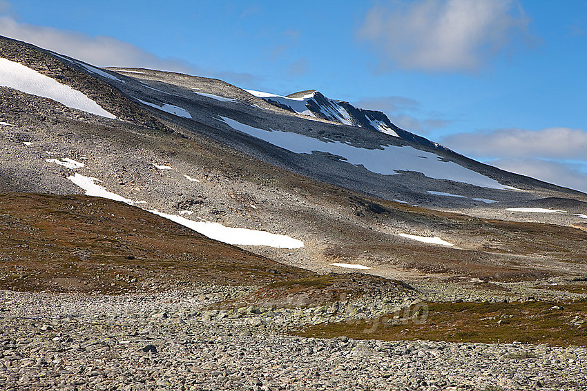 I Skarvedalen mot Skarvedalseggen i Reinheimen.