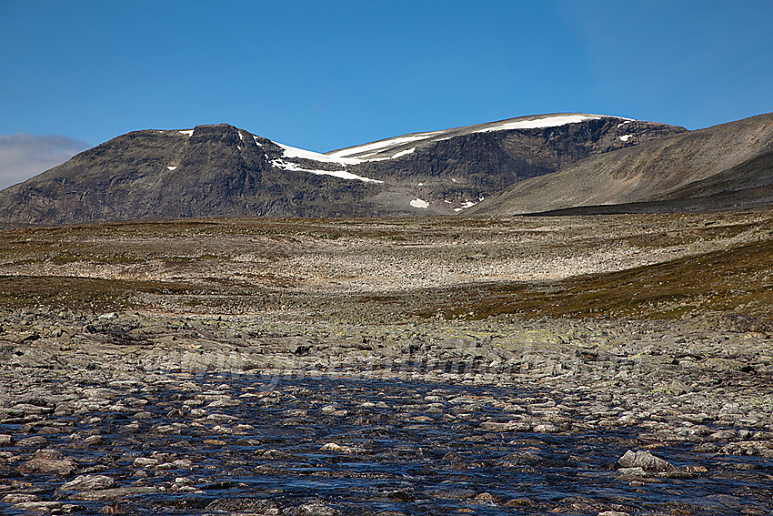 Skarvedalsåe og Skarvedalen med Gråhøe (2014 moh) bak til høyre.