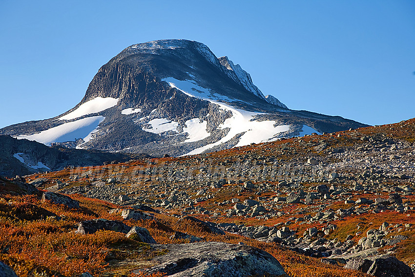 På vei oppover Tverrådalen med turens mål, Tverrådalskyrkja (2088 moh) i sikte.