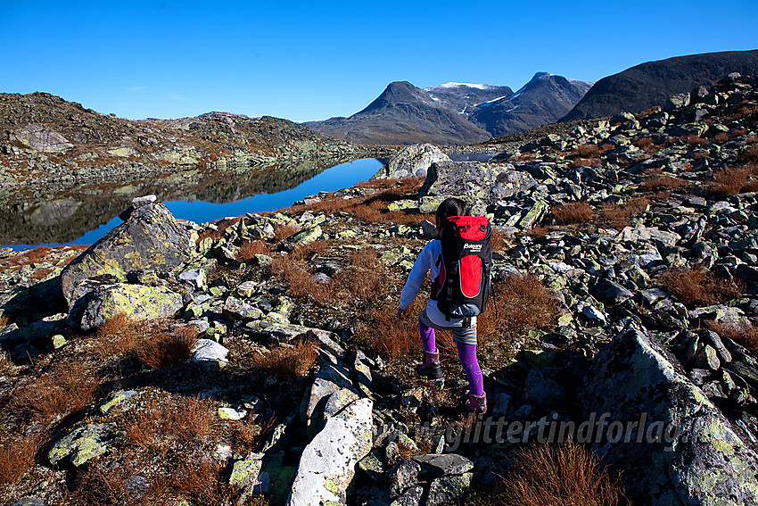 Liten fjellvandrer på Øvre Dyrhaug i Hurrungane med Steindalsnosi og Fannaråken i bakgrunnen.