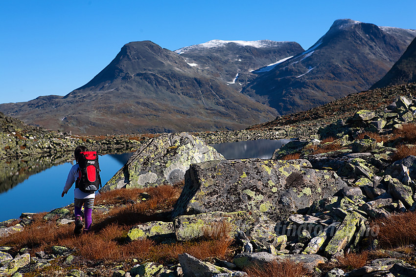 Liten fjellvandrer på Øvre Dyrhaug i Hurrungane med Steindalsnosi og Fannaråken i bakgrunnen.