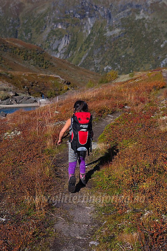 Liten fjellvandrer i ytre del av Ringsdalen.