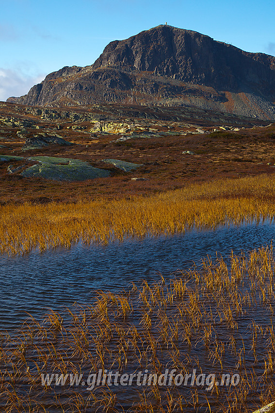 På vei mot Gravolskampen en høstdag med Bitihorn (1607 moh) i bakgrunnen.