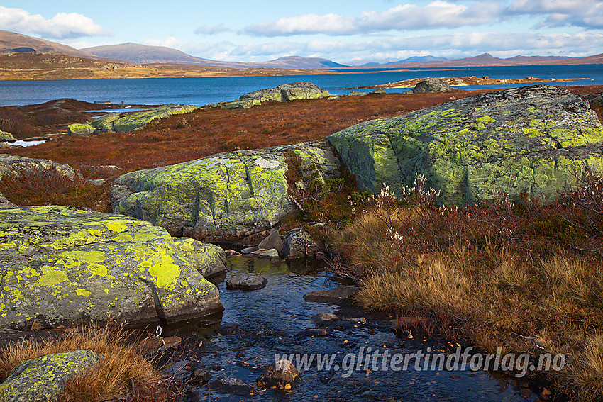 Ved utløpet fra Gravolstjernet med Vinstervatn i bakgrunnen.