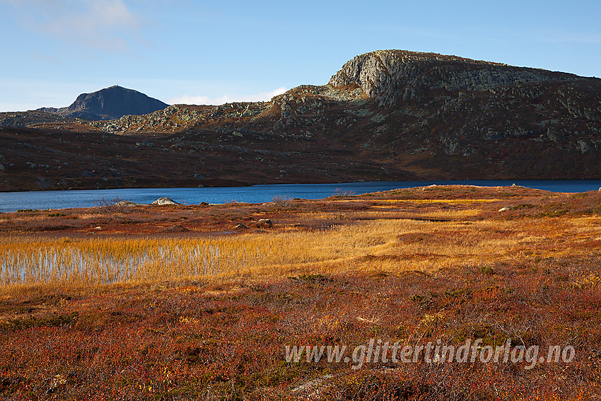 Ved Gravolstjernet med Gravolskampen (1281 moh) bakenfor. Bitihorn i det fjerne.