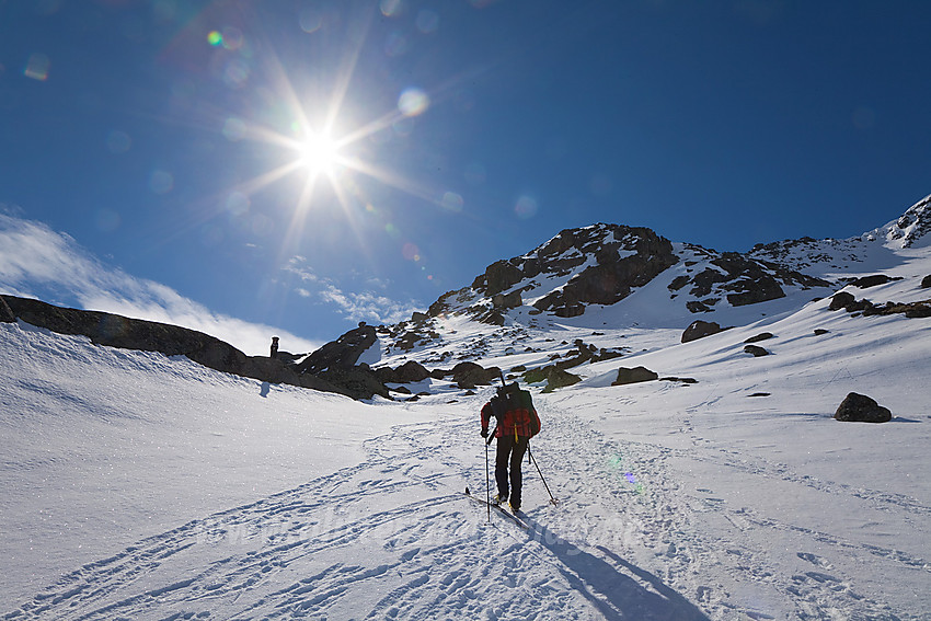 Vi svetter oss oppover mot Munken. Det er brattere enn det ser ut til og det er bare så vidt fellene sitter. Litt lenger oppe er det av med ski som gjelder. Sporene i snøen stammer fra en flokk reinsdyr.