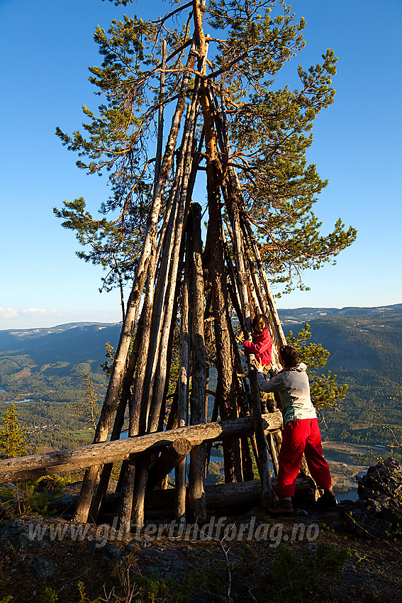 Vårkveld på Vardeberget i Aurdal.