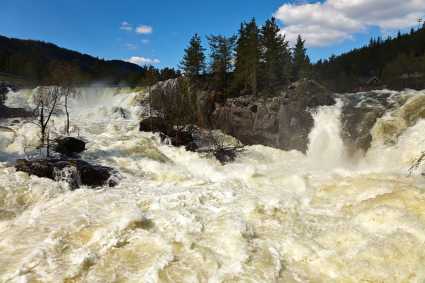 I Kvitvellafossen er Neselve virkelig imponerende. Lett tilgjengelig er den også like ved Fagernes sentrum. Bildet er tatt en vårdag med flomføring i elva.