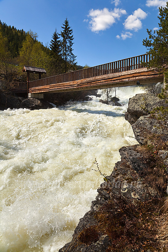 I Kvitvellafossen er Neselve virkelig imponerende. Lett tilgjengelig er den også like ved Fagernes sentrum. Bildet er tatt en vårdag med flomføring i elva.