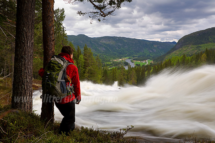 På vei oppover mot Kverviljuvet langs Hølera. Her med en flomstor Hølera i forgrunnen og Begnadalen i bakgrunnen.