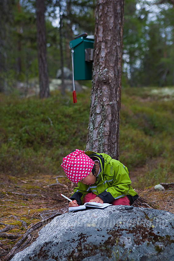 Bok for besøksregistrering ved Kverviljuvet i Sør-Aurdal.