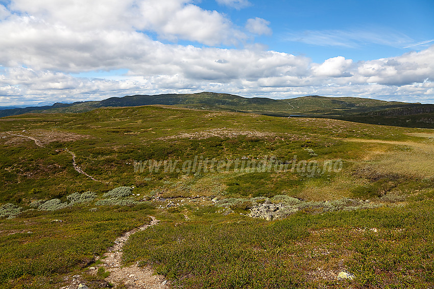 På vei mot Rauddalsfjellet med Nystølsfjellet (1295 moh) i bakgrunnen.