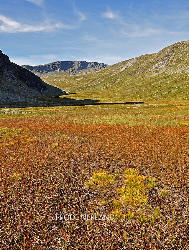 Volladalen